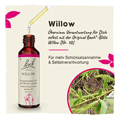 Bachblten Willow Tropfen 20 Milliliter - Info 1