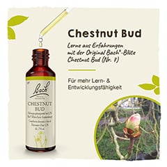 Bachblüten Chestnut Bud Tropfen 20 Milliliter - Info 1