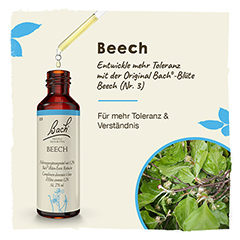 Bachblüten Beech Tropfen 20 Milliliter - Info 1