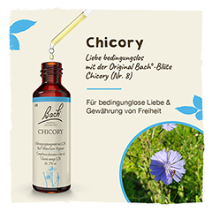 BACHBLTEN Chicory Tropfen 20 Milliliter - Info 1
