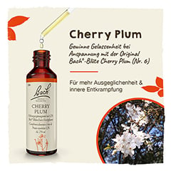 Bachblüten Cherry Plum Tropfen 20 Milliliter - Info 1