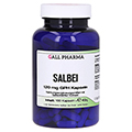 SALBEI 120 mg GPH Kapseln 180 Stck