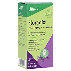Floradix Eisen plus B Vitamine Kapseln 40 Stück