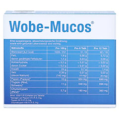 WOBE-MUCOS magensaftresistente Tabletten 120 Stck - Rckseite