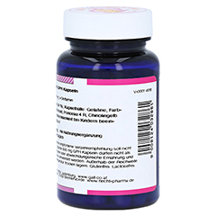 GLUTAMIN 500 mg GPH Kapseln 60 Stck - Rechte Seite