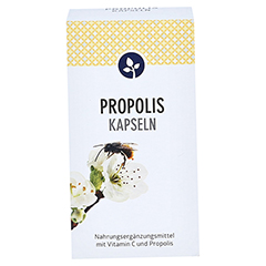 Propolis Kapseln 450 mg 60 Stck - Vorderseite
