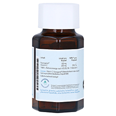 NATURAFIT Pycnogenol 100 mg+C Kapseln 60 Stck - Rechte Seite