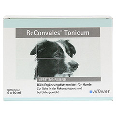RECONVALES Tonicum für Hunde 6x90 Milliliter - Vorderseite