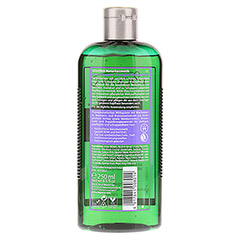 LOGONA Anti-Schuppen-Shampoo Wacholderöl 250 Milliliter - Rückseite