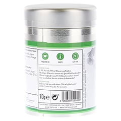 FRESH FOCUS Organic green Tea with Ginkgo Dose 70 Gramm - Rechte Seite